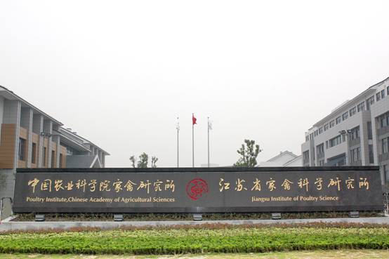 江蘇省揚州市家禽研究中心，鄭州防靜電地板安裝黄瓜视频APP成人，【鄭州黄瓜导航在线观看防靜電地板有限公司】銷售熱線:13526480830.廠家直銷陶瓷防靜電地板,全鋼防靜電地板,硫酸鈣防靜電地板.PVC防靜電地板供應商,主要用於計算機機房,通訊機房,潔淨廠房及現代化智能化樓宇等場所,歡迎谘詢。